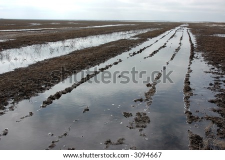 spring road in field flooding water