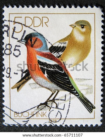 stock-photo-germany-circa-stamp-printed-in-germany-shows-song-birds-chaffinches-circa-65711107.jpg