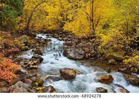 Autumn Foliage Along Big Cottonwood Creek, Near Salt Lake City, Utah ...