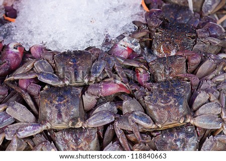 fresh crab in market