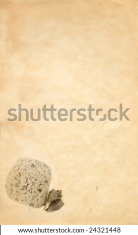 Background with scan of old paper, sea shell and sponge