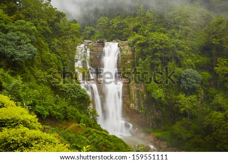 Waterfall in deep forest near Nuwara Eliya in Sri Lanka.