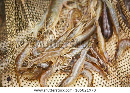 Close up view on the raw prawns in fishing net.