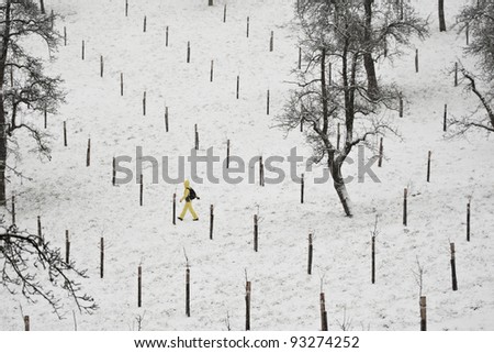 Person is walking in snow in park, Prague - person in blurred motion