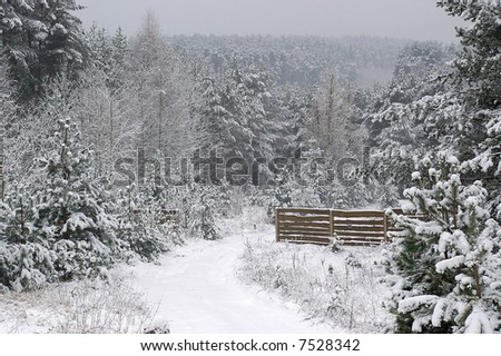 The forest farm gates under a snow cover