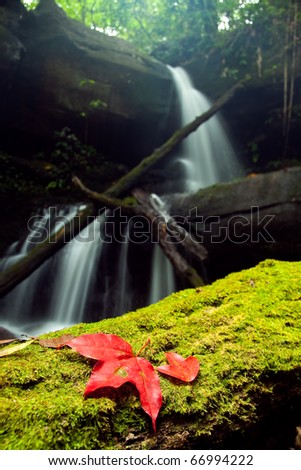 Red maple leaf  fall down into the green moss with waterfall background, Man-Daeng Waterfall Pitsanulok North of Thailand