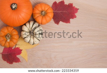 An autumn border of pumpkins, squash and fall leaves with copy space