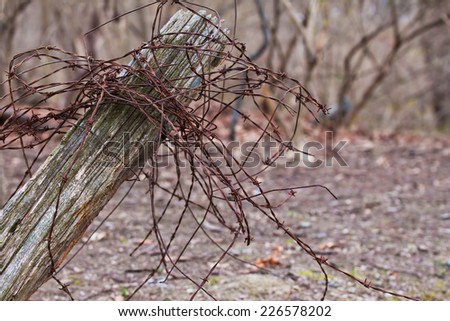 Rustic fence post with barbed wire on a farm