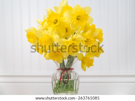 Close up of a bouquet of daffodils in a petite glass vase with a white beadboard background