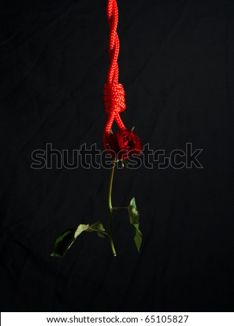 Rose was hung with red ropes