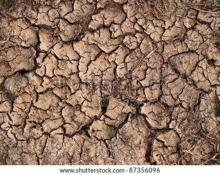 drought cracked soil.