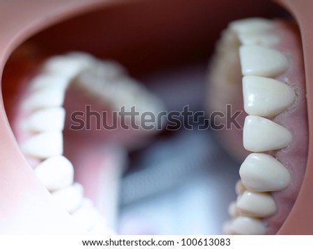 Dental equipment for medical students