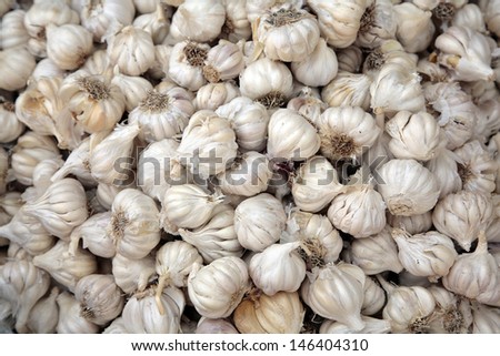 Garlic background, India