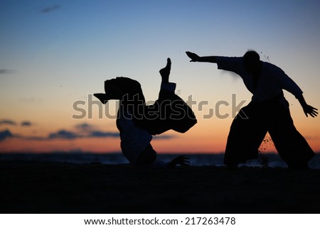 Silhouettes of asian fighting art practitioners on sunset background