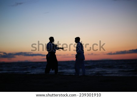 Martial arts master explains the idea to his student, silhouettes of men at sunset