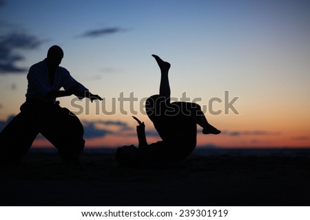 Silhouettes of martial arts masters on the sunset beach