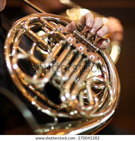 Hand of a musician playing the french horn