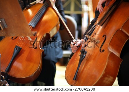 Mid section of contra-bass players