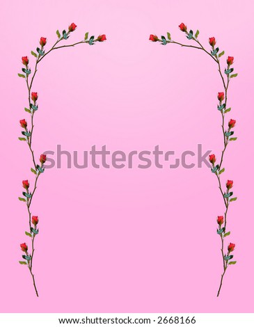 pink background with rose ornament
