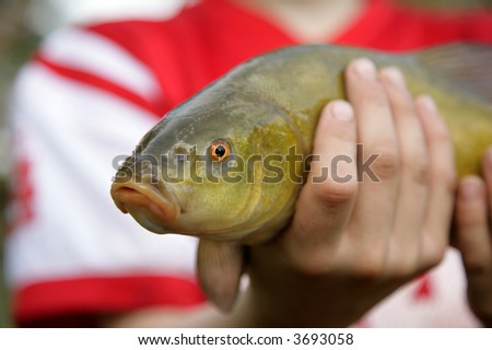 young boy holding fish
