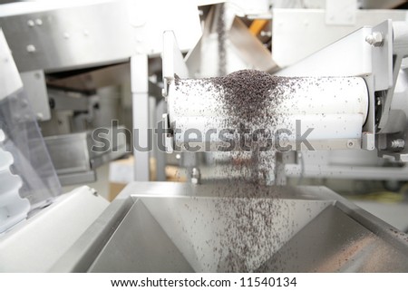 factory on the production of delicious chocolate candies