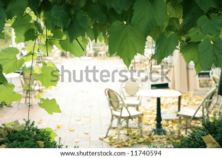 summer street cafe with grape leaves frame
