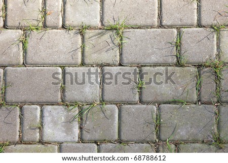 stone path background with green grass growing