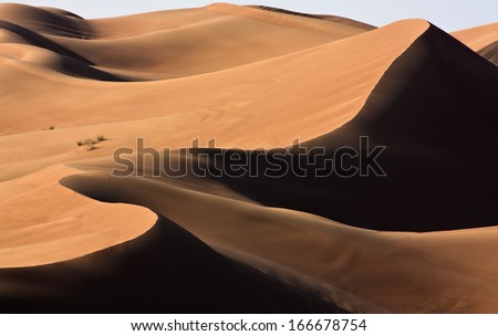 Dubai desert with beautiful sandunes
