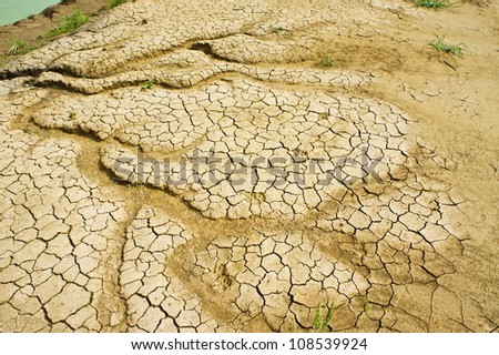 Cracked, dry desert ground soaking up a much needed rainfall.