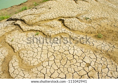 Cracked, dry desert ground soaking up a much needed rainfall.