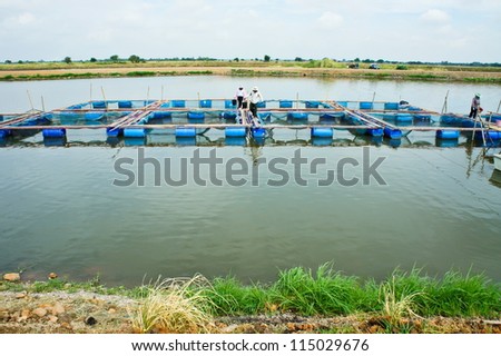 Fish farm located in thailand country
