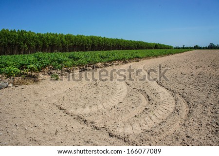Tire tracks on the ground, in the farm