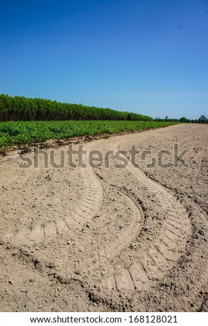 Tire tracks on the ground, in the farm
