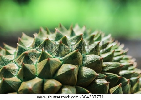 Durian closeup thorn spiky background.