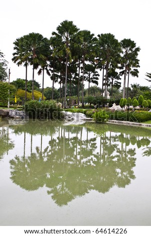 Coco trees reflection and beautiful park, thailand