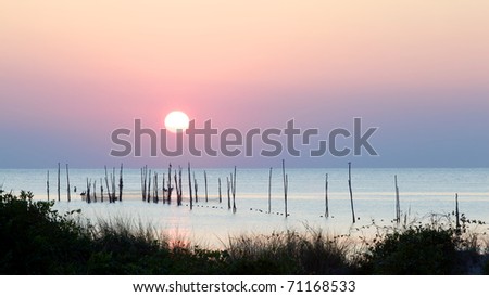 Sunset over the Chesapeake Bay revealing birds resting on logs holding fish nets hanging into the water.
