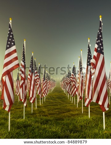 Flags set in a row as part of the healing fields for 9/11/2011 in Grand Rapids Michigan. Each flag was designed to represent a person who died in the terrorist attacks on 9/11/2001.
