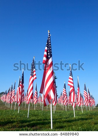 Flags set in a row as part of the healing fields for 9/11/2011 in Grand Rapids Michigan. Each flag was designed to represent a person who died in the terrorist attacks on 9/11/2001.