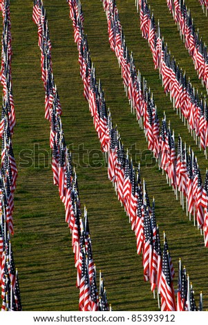 Flags as part of the memorial healing fields for 9/11/2011 in Grand Rapids Michigan. Each flag was designed to represent a person who died in the terrorist attacks on 9/11/2001.