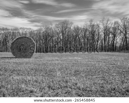 Black and white landscape image of an open field with a hay barrel in the middle ground and a forrest of trees in the background and a clouds filled sky