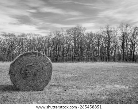 Black and white landscape image of a hay barrel in an open field with a forrest of trees in the background and a clouds filled sky