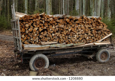 A trailer, laden with firewood, sits stuck in the mud in the forest, waiting to be pulled free.
