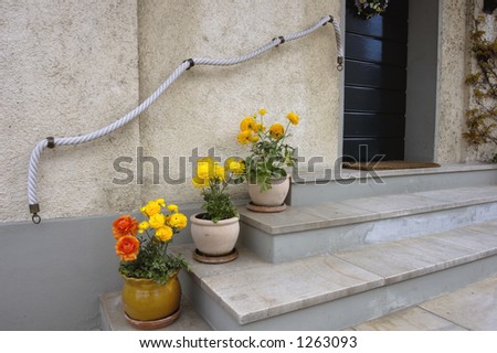 Flower-lined marble steps and a cord handrail lead up to a door. Bright colours make a visitor feel welcome. Space for text above the handrail.