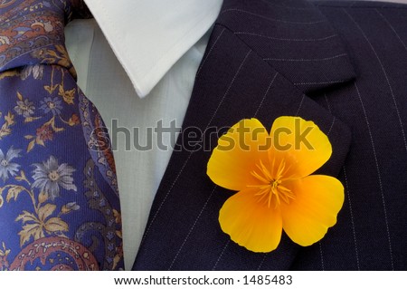 Close-up of a bright buttonhole flower on a businessman\'s pinstripe suit, contrasting with the flower on his tie.