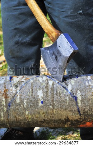 Close up of an axe, embedded in a beech log, before a logger starts chopping. Logger standing behind it.