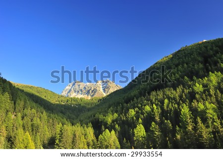 A view up a forested alpine valley in Switzerland to a mountain peak beyond. Space for text in the clear blue sky.