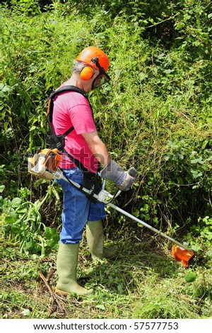 A worker using a brush cutter to cut down a jungle of undergrowth. Space for text against the greenery.