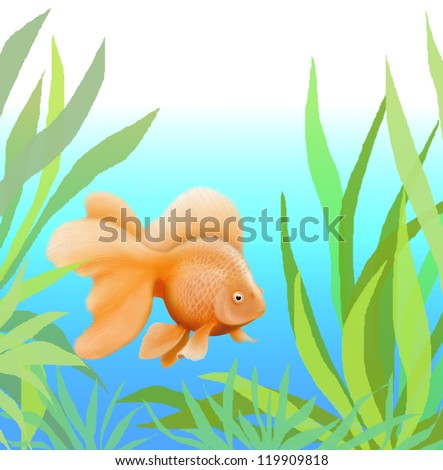 A Ryukin fantail goldfish swimming in aquatic plants.