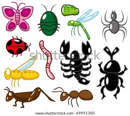 cricket insect cartoons. stock vector : cartoon insect