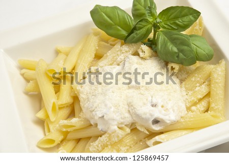 Cooked pasta with white sauce